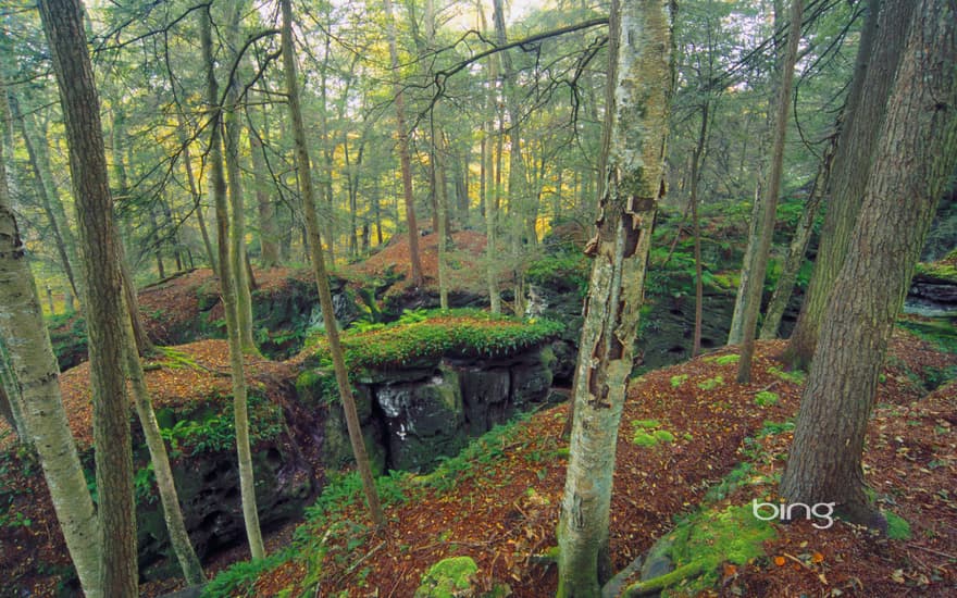 Beartown State Park in Monongahela National Forest, West Virginia