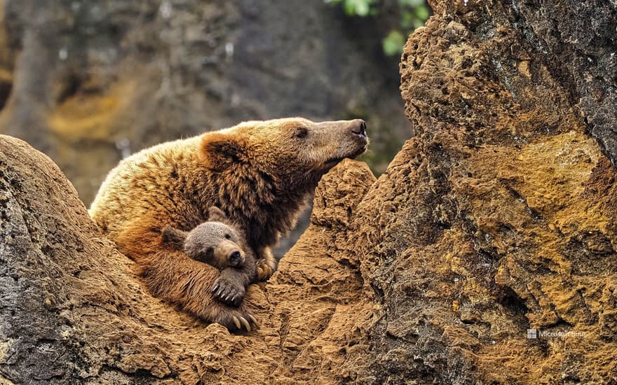 Cabárceno Nature Park, Cantabria, Spain