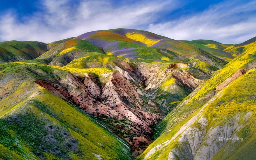 Carrizo Plain National Monument, California, USA