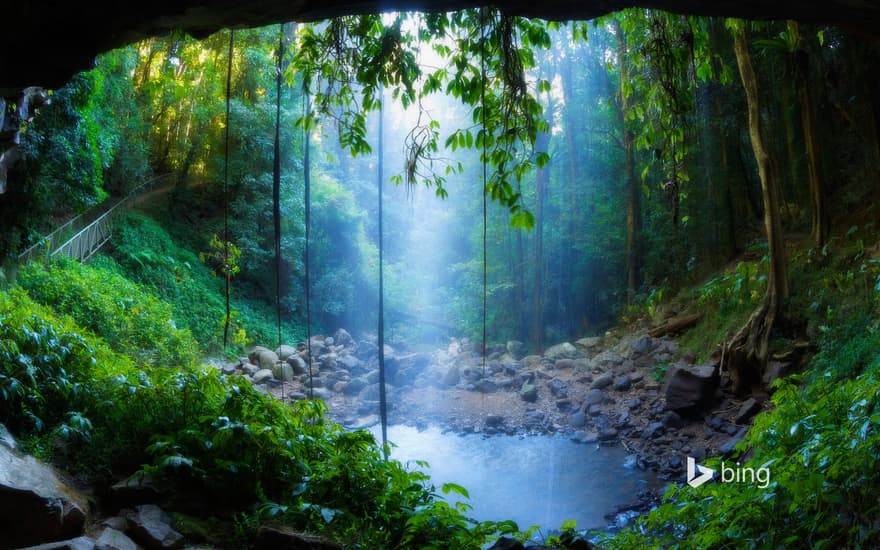 Crystal Shower Falls, Dorrigo National Park, New South Wales, Australia