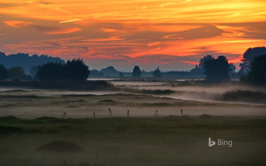 Wetland of River Elbe near Wedel, Schleswig-Holstein, Germany