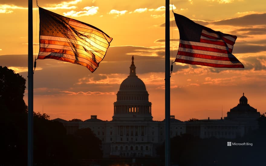 US Capitol building and US flags, Washington, DC