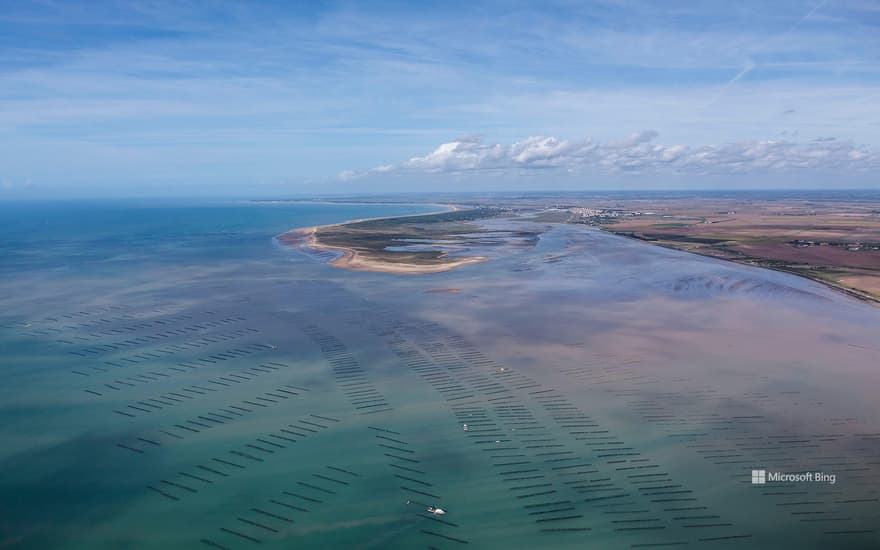 Oyster farm at La Faute-sur-Mer, Pointe d'Arcay France, Vendée