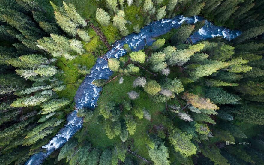 Hyalite Creek, Custer Gallatin National Forest, Montana, USA