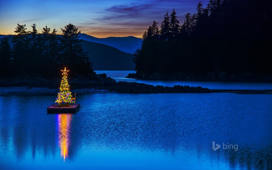 Amalga Harbor near Juneau, Alaska