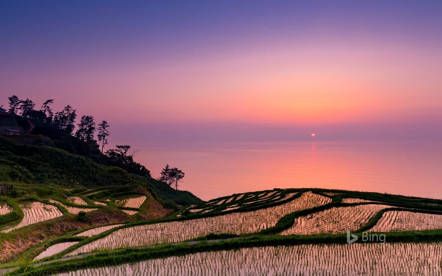 “Sunset at Shiromai Senmaida” Ishikawa, Wajima City