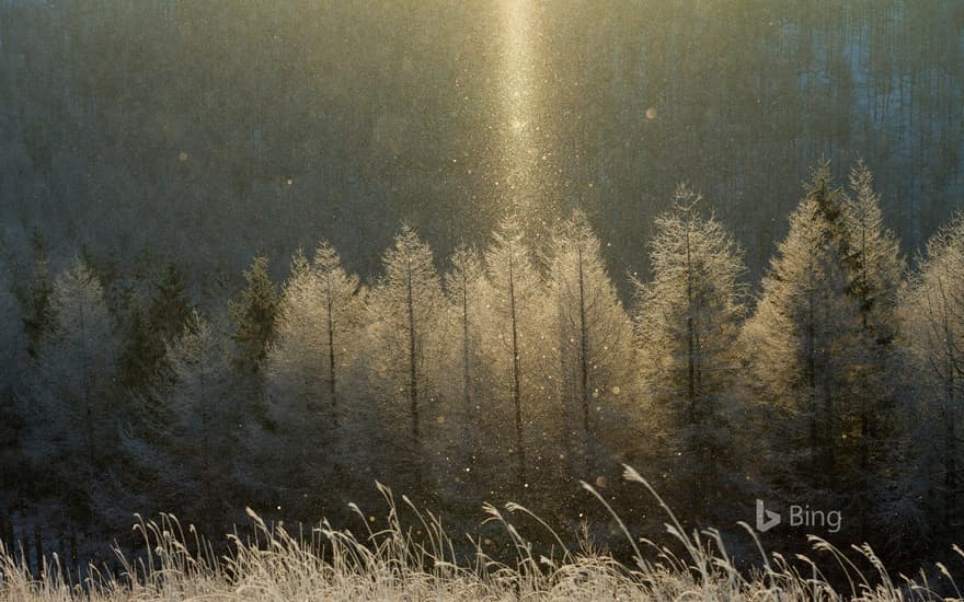 "Kirigamine Sun Pillar" Nagano, Yatsugatake Chushin Kogen National Monument