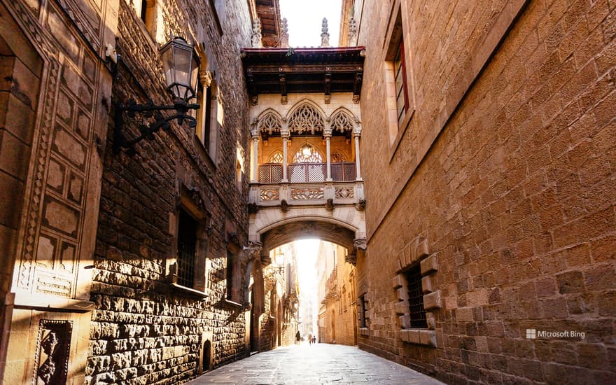 Pont del Bisbe, Gothic Quarter of Barcelona, Spain