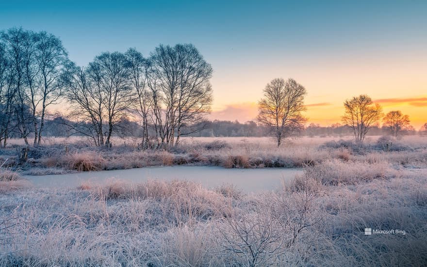Snow-covered field at sunset, East Frisia, Lower Saxony