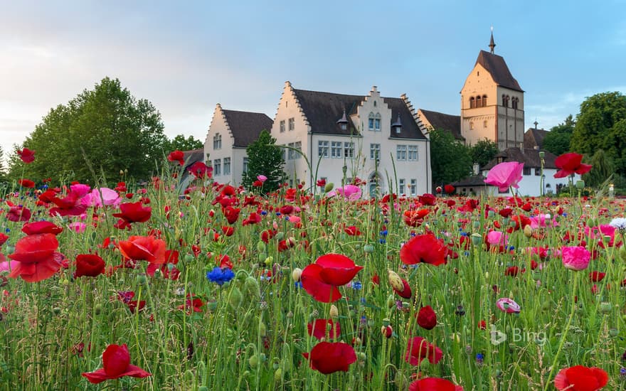 Minster of St Mary and St Mark, Reichenau Island, Baden-Württemberg, Germany