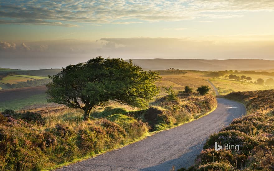 Stoke Pero Common, Exmoor National Park, England, UK