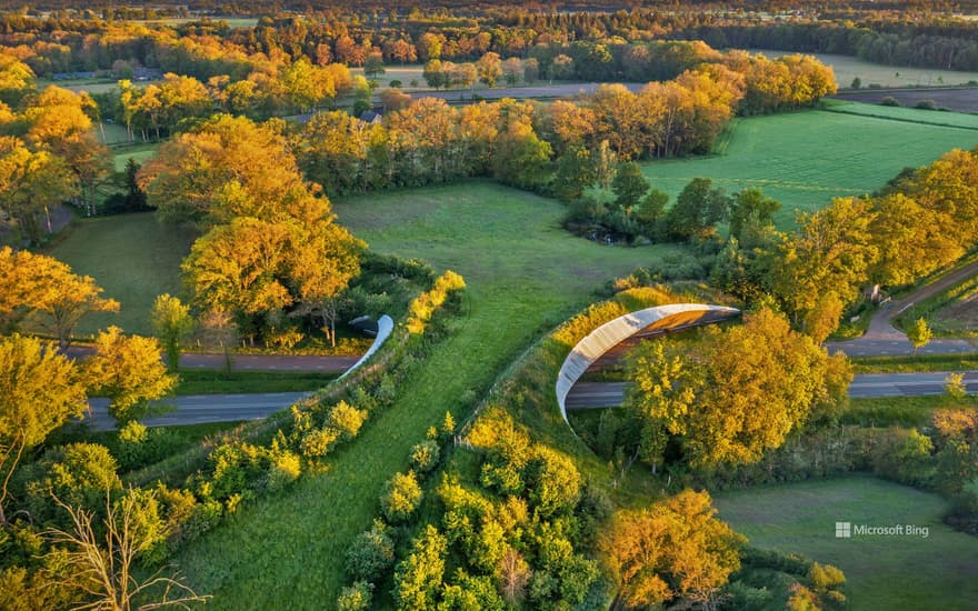 Wildlife crossing in Wierden, Netherlands