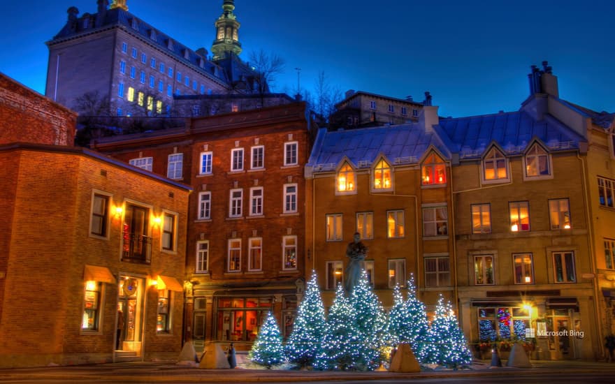 Christmas trees in Old Quebec